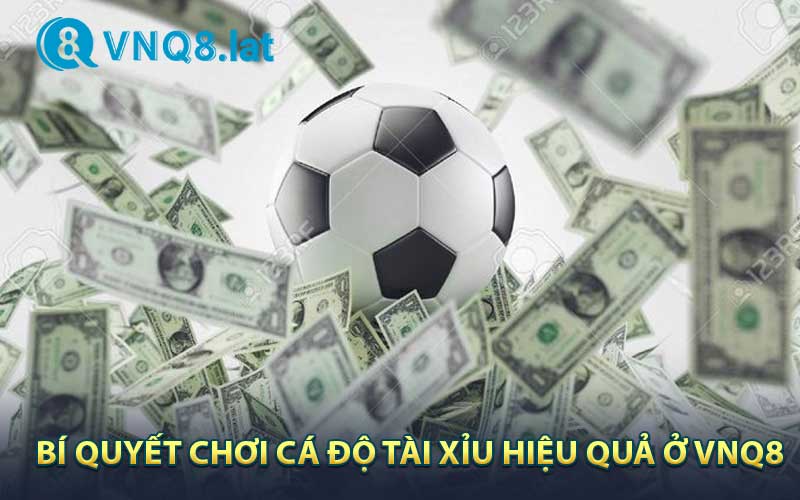 Bí quyết chơi cá độ tài xỉu hiệu quả ở VNQ8