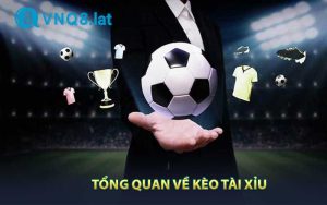 Tổng quan về kèo tài xỉuf TaỊ VNQ8